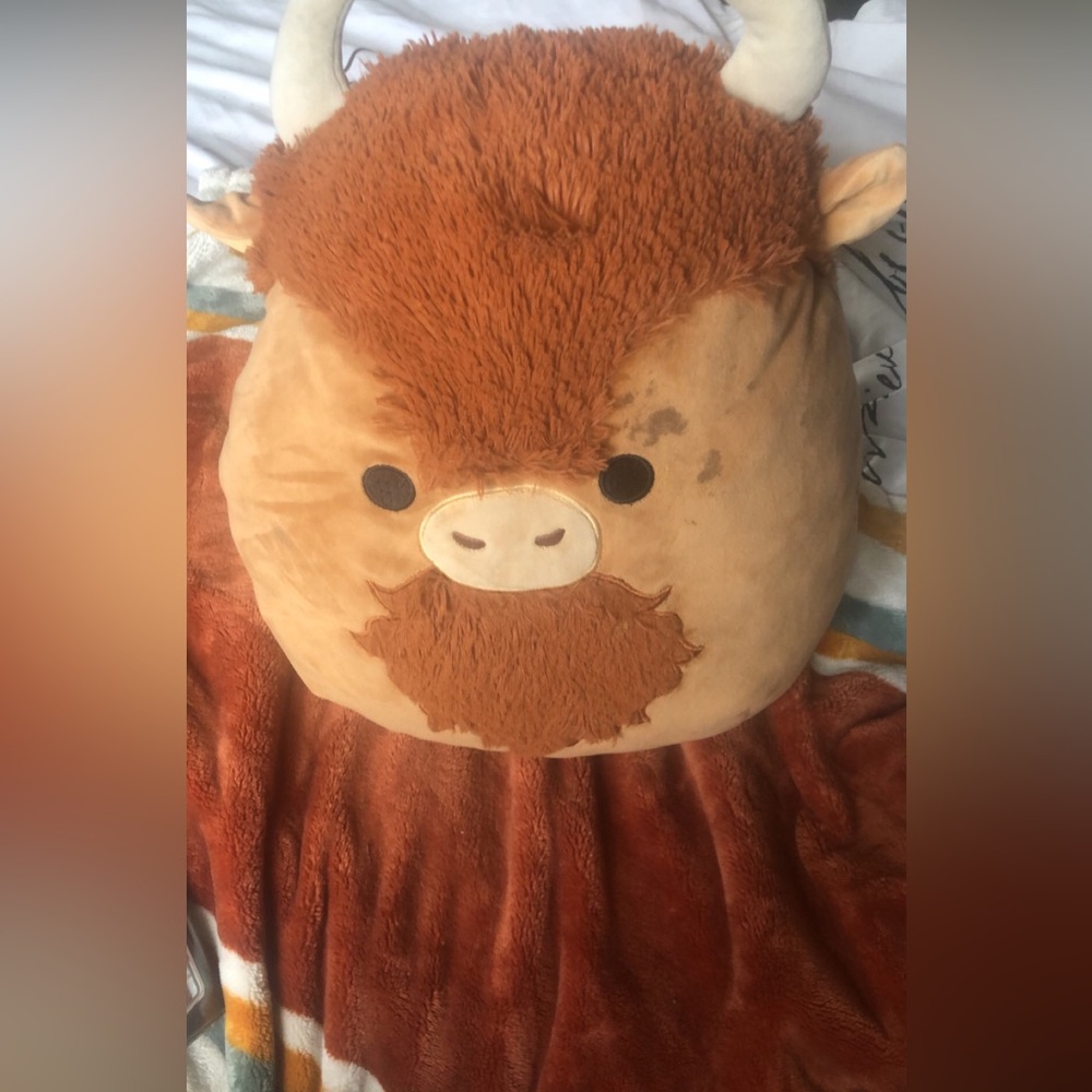 Cow highlander squishmellow